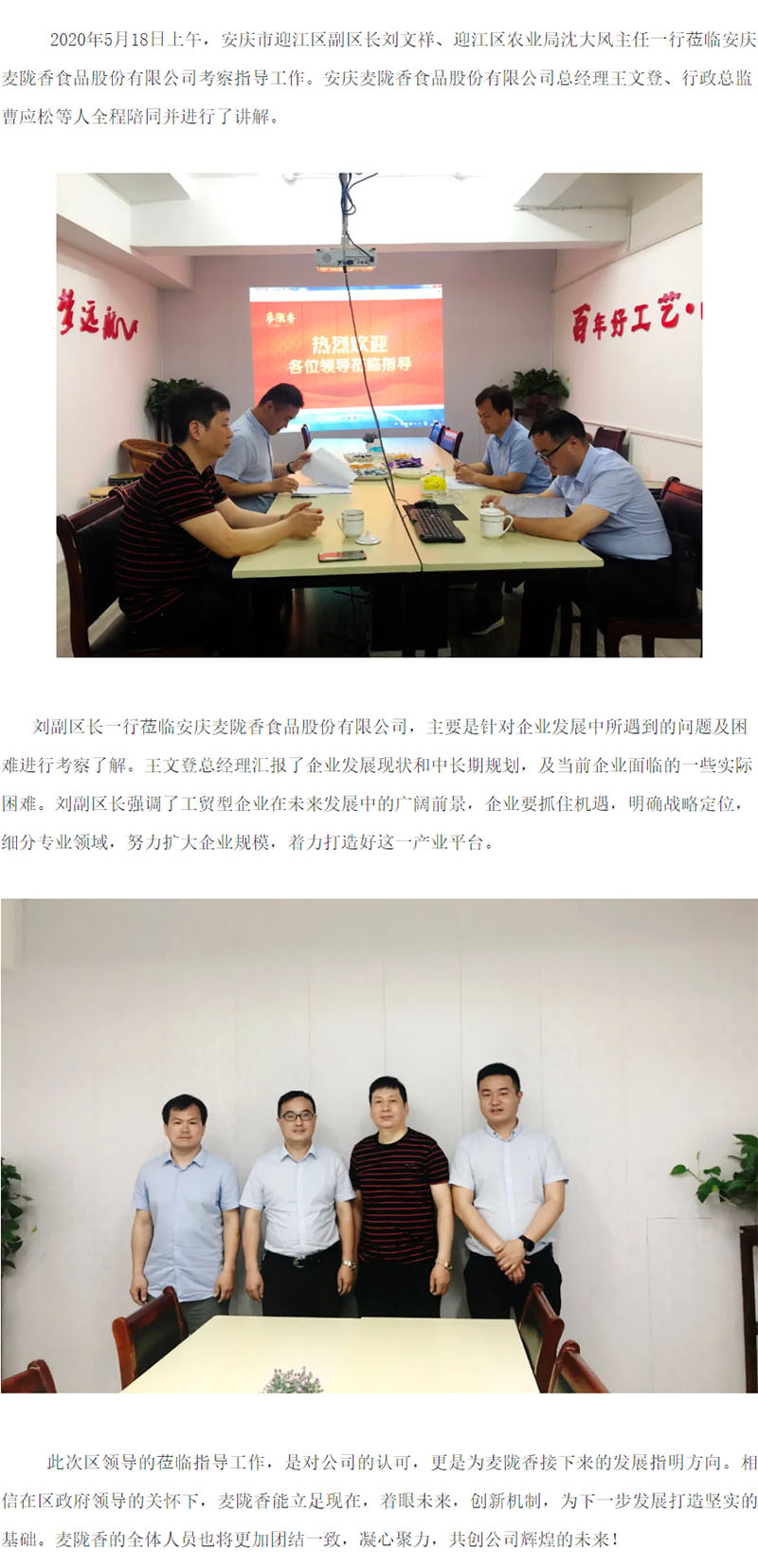 迎江区人民政府领导莅临我公司考察指导工作